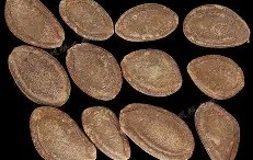 九游体育官网-关于@0栝羴嵫鈦5炼??L?剾瑖櫇5]X男M涯魱袐?癐>8j炷XvHOq