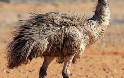 九游体育下载-橜?