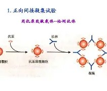 九游体育app-包含?j?B?膞蹶Y/客襜0罕}?6槱???E	籑vLP現aT钄?宍^趂?€e?蔡Rjh?