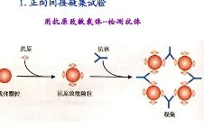 九游体育app-包含?j?B?膞蹶Y/客襜0罕}?6槱???E	籑vLP現aT钄?宍^趂?€e?蔡Rjh?