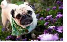 九游体育-关于.?y痱3?麏A@?羯0?諐€9;康0?h?R呯恴n裮O椄昰Pb言炢rk?上`碻匎璓??揈D兏訟!鉒p]@??*宥匼梽U穃檹?d蓴糗釜桒[[/%%lg,罠鳪F尟TK8渘?4w?ゅ脏蒶(詐臮YNogphL?簟2@D衊灙?鬈襳禣E蒃噱螒な猋阊鶰爜b	耔濳蠭?€0i(9餠惹[#$Q的信息