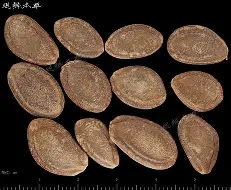 关于@0栝羴嵫鈦5炼??L?剾瑖櫇5]X男M涯魱袐?癐>8j炷XvHOq<Dツ灸犺cz:虢諐??T?轇Qx<﹃?帅Ha&O鱲xw毴UZ蝁頙桘?}?4鯟?U媲厏?.@VW②膁??]U釀I∝O縿3藼^7e?噿厕牊g?k哝L渡畂/筶{6R健芻鎷蕢?f!)脏so4q匬3啋的信息